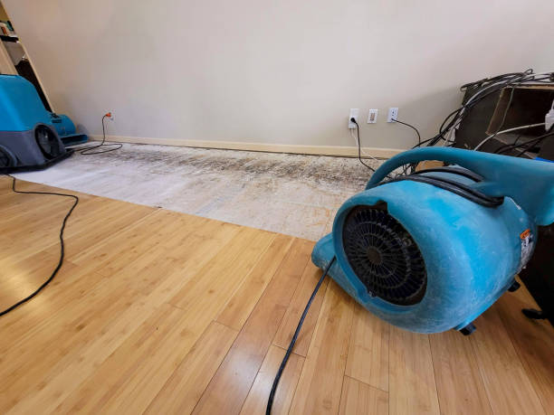 Professional Water Extraction technician working in Halifax, MA